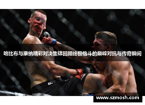 哈比布与康纳精彩对决集锦回顾终极格斗的巅峰对抗与传奇瞬间